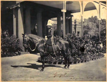 Load image into Gallery viewer, George, Prince of Wales - Equestrian Portrait, 1906
