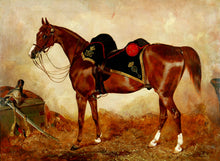 Load image into Gallery viewer, 1st (Royal) Dragoons - A Heavy Cavalry Officer’s Charger, 1855-65
