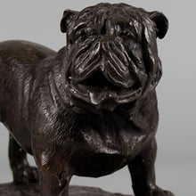 Load image into Gallery viewer, British Bulldog after Pierre-Jules Mêne, 1900