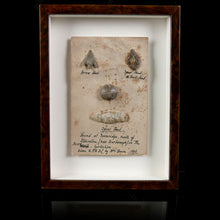 Load image into Gallery viewer, An Antiquary’s Gift - Neolithic Spear and Arrow Heads (c.10000 - 2000 BC)