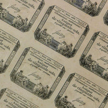 Load image into Gallery viewer, Bank notes from the French Revolution 1793
