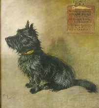Load image into Gallery viewer, Great War Veteran Scottie Dog after Cecil Aldin, 1930