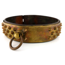 Load image into Gallery viewer, Northumberland Fusiliers - Officer’s Dog Collar