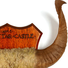 Load image into Gallery viewer, HMS Dunnottar Castle - Tristan Da Cunha Hunting Trophy, 1942