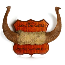 Load image into Gallery viewer, HMS Dunnottar Castle - Tristan Da Cunha Hunting Trophy, 1942