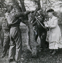 Load image into Gallery viewer, Queen Mary Tree Felling at Badminton, 1942
