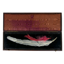 Load image into Gallery viewer, Feathers from Wellington’s Waterloo Bicorne, 1815
