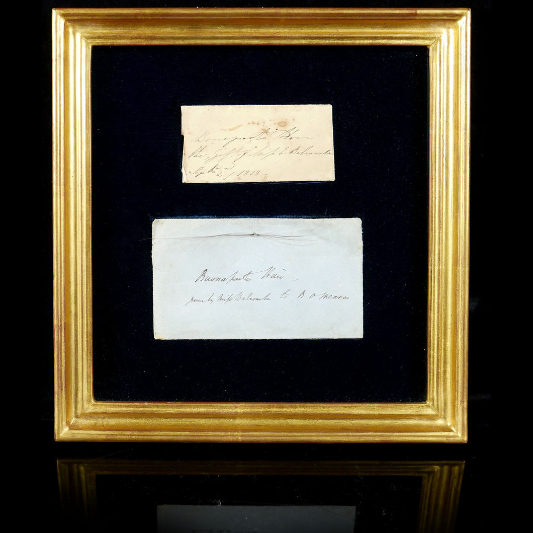 Napoleon’s Hair - A St Helena Relic, 1818