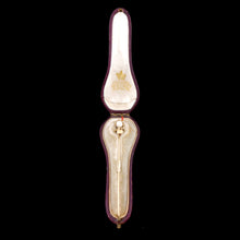 Load image into Gallery viewer, French Horse Grenadier Trophy of Arms Stickpin
